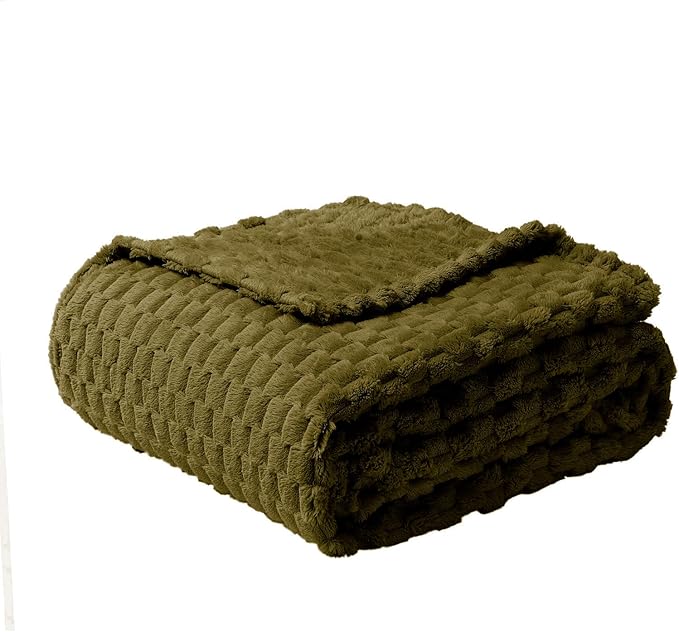 FY FIBER HOUSE Fleece Blanket Twin Size for Couch 300GMS Super Soft Plush Fuzzy Blankets and Throws for Sofa Bed Office, 60x80 Inches, Olive Green