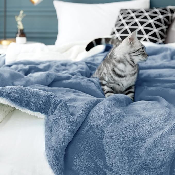 LBRO2M Sherpa Fleece Bed Blanket Twin Size,Super Soft Fuzzy Plush Warm Cozy Fluffy Microfiber Couch Throw Velvet Double Reversible Luxurious Blankets (Light Blue,Twin(65x90 Inches))