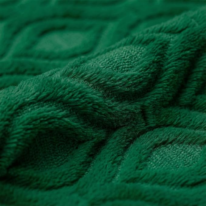 Horaldaily Solid Blanket Throw, Dark Green Accent Farmhouse Neutral Square Euro Soft Fuzzy Plush Faux Fur Cozy Blankets for Couch Sofa Bed Lounging, Ideal Gifts for Kids Adults Wife Self, 50x60