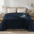 LOOBANI Waterproof Blanket for Bed: Reversible Leakproof Full/Queen Bed Blankets 80" x 90", Soft Flannel & Coral Fleece Bed Blanket Water Resistant for Couch Sofa Cover, Movie Time, Camping, Blue