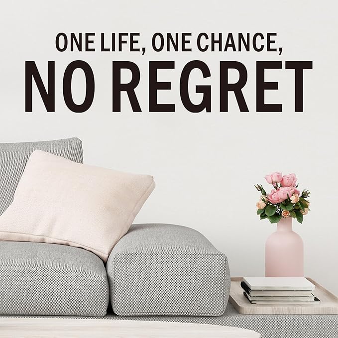 Inspirational Wall Stickers for Living Room: Motivational Quotes Office Gym School Classroom Garage Bedroom Vinyl Art Wall Decals - One Life One Chance No Regret 25" X 7"