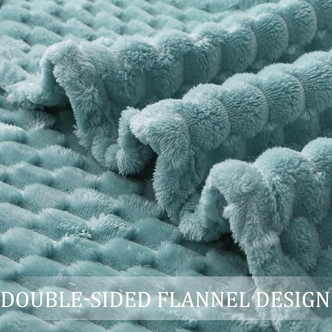 Exclusivo Mezcla Fleece Queen Blanket for Bed, Extra Large Fuzzy Celadon Bed Blankets, Soft Cozy Plush Sofa Throws for All Seasons, 90x90 Inches