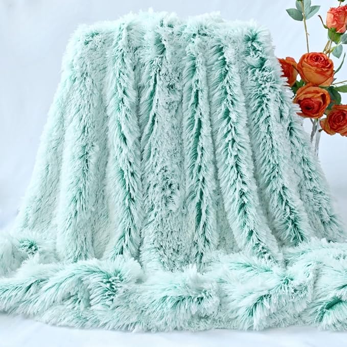 Plush Super Soft Blanket Bedding Sofa Cover Furry Fuzzy Fur Warm Throw Qulit Cozy Couch Blanket for Winter (63"x79",Green and White)