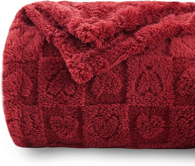 NEWCOSPLAY Super Soft Twin Blanket Red Premium Silky Flannel Fleece 3D Heart Checkered Lightweight Bed Blanket All Season Use (Red Heart, Twin(60"x80"))