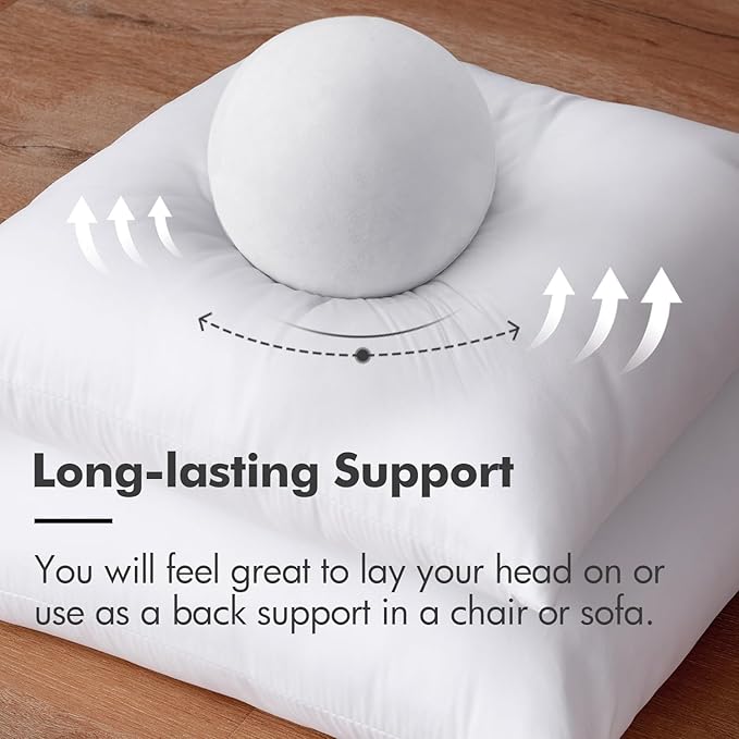 MIULEE 20 x 20 Pillow Inserts (Set of 2) - Throw Pillows Insert Premium Pillow Stuffer Square Form for Decorative Cushion Bed Couch Sofa