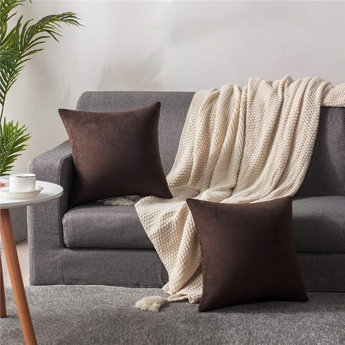 DEZENE Throw Pillow Covers 16x16 Chocolate Brown: Pack of 2 Cozy Soft Velvet Square Modern Luxury Decorative Throw Pillow Cases for Sofa Couch Living Room Bed Home Decor