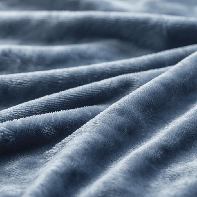 Plush Velvet Fleece Bed Blanket, Lightweight Queen Size Blanket, Soft Fuzzy Cozy Blanket for Couch (Haze Blue, Queen)