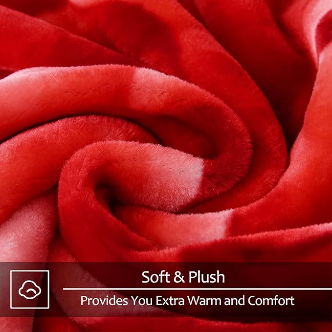 JYK Soft Blanket Korean Mink Blanket, 5 LB Fleece Blanket Queen 75'' x 87'' - 2 Ply Reversible 520GSM Super Soft Plush, Medium Thick, Warm Bed Blanket for Autumn Winter - Peony/Rose