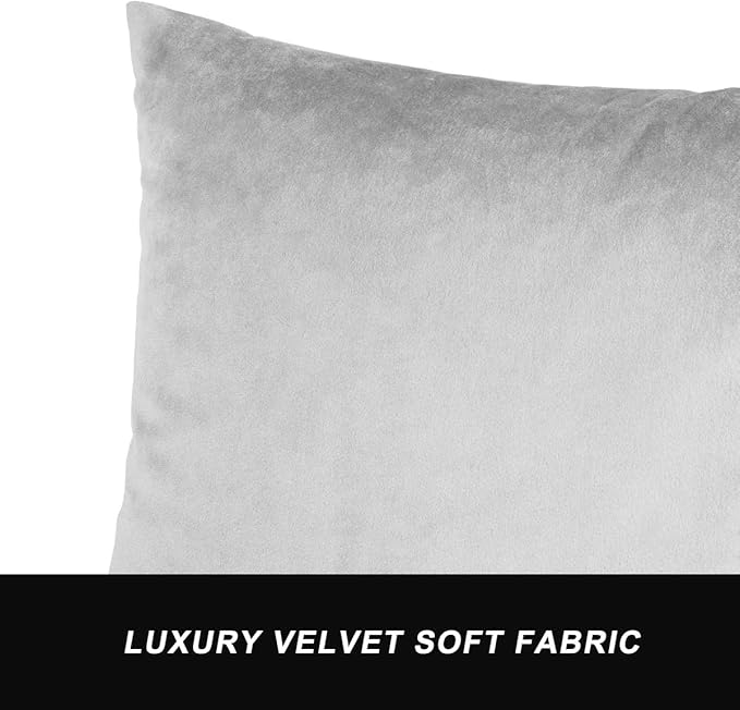 GIGIZAZA Decorative Throw Pillow Covers 16 x 16, Silver Grey Soft Pillow Covers Velvet,Set of 4 Decor Square Cushion Covers