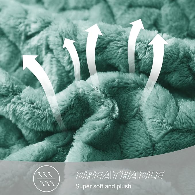 Exclusivo Mezcla Fleece Twin Size Blanket for Bed, 60x80 Inches Soft Cozy Jacquard Flannel Blankets, Lightweight Fuzzy Plush Warm for Women, Celadon