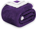 BEAUTEX Sherpa Fleece Throw Blankets, Soft Fluffy Flannel Plush Blanket and Throw, Fuzzy Cozy Purple Cuddle Blankets for Couch Bed Sofa Adults (50" x 60", Purple)