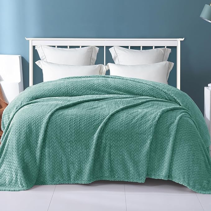 Exclusivo Mezcla Fleece Twin Size Blanket for Bed, 60x80 Inches Soft Cozy Jacquard Flannel Blankets, Lightweight Fuzzy Plush Warm for Women, Celadon