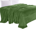 Elegant Comfort Luxury Velvety Feel Blanket, All-Season Lightweight Blanket, Ultra Plush, Soft, Cozy-Fuzzy Flannel Fleece for Couch, Sofa, Bed, Travel, Solid Design, King/California King, Green