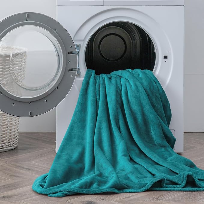 BEDELITE Flannel Sheets Queen Size Teal - Super Soft Fleece Sheets Set Fluffy Extra Plush, 4 Piece(Include Fitted Sheet, Flat Sheet, 2 Pillowcases)