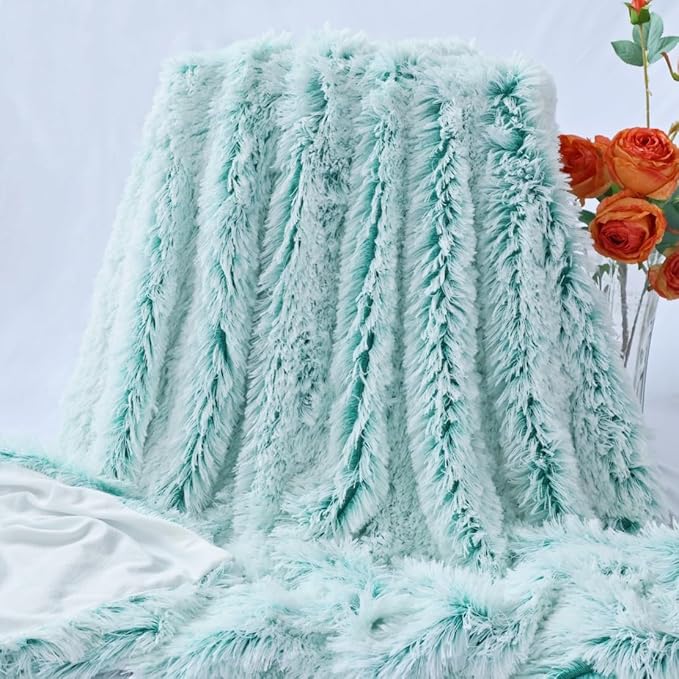 Plush Super Soft Blanket Bedding Sofa Cover Furry Fuzzy Fur Warm Throw Qulit Cozy Couch Blanket for Winter (63"x79",Green and White)