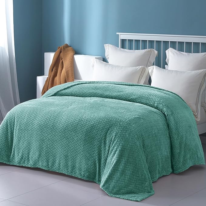 Exclusivo Mezcla Fleece Twin Size Blanket for Bed, 60x80 Inches Soft Cozy Jacquard Flannel Blankets, Lightweight Fuzzy Plush Warm for Women, Celadon