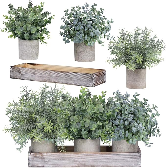 Winlyn Set of 3 Mini Potted Artificial Eucalyptus Plants Faux Rosemary Plant Assortment with Wood Planter Box for Indoor Office Desk Apartment Wedding Tabletop Greenery Decorations 8.7" Tall