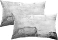 Britimes Throw Pillow Covers Modern Home Art Decor, 12 x 20 Inches Set of 2 Pillow Cases Decorative, Abstract Oil Painting Pillowcases for Bedroom, Living Room, Black White