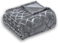 Soft Cozy Fleece Throw Blanket, 50x60 Inches – Lightweight Plush Blanket for Couch, Fuzzy 3D Jacquard Design, for Sofa, Bed & Travel - Light Grey