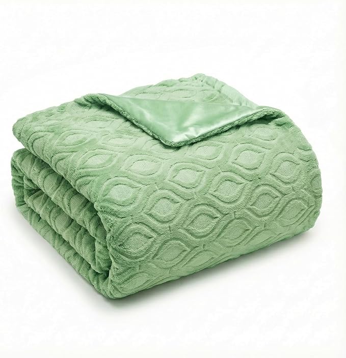 Horaldaily Solid Blanket Throw, Green Accent Farmhouse Neutral Square Euro Soft Fuzzy Plush Faux Fur Cozy Blankets for Couch Sofa Bed Lounging, Ideal Gifts for Kids Adults Wife Self, 50x60