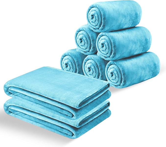 MOONLIGHT20015 Fleece Blanket Queen Size 8 Pack - Soft Fluffy Light Blue Throw Blanket for Couch & Sofa, Lightweight Luxury 400 GSM Microfiber Fuzzy Bed Blankets and Throws (90 x 90 Inches, Queen)