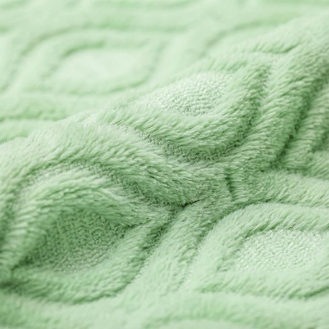 Horaldaily Solid Blanket Throw, Green Accent Farmhouse Neutral Square Euro Soft Fuzzy Plush Faux Fur Cozy Blankets for Couch Sofa Bed Lounging, Ideal Gifts for Kids Adults Wife Self, 50x60