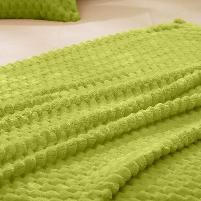 Vessia Flannel Fleece Throw Blanket, 3D Jacquard Green Fuzzy and Warm Blanket for Couch,Sofa,Bed,Chair, 300GSM Super Soft Touch Cozy Throw for All-Season Home Decor(50x40inch)