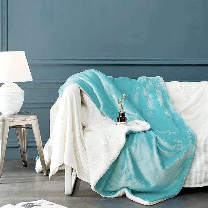 LBRO2M Sherpa Fleece Bed Blanket Queen Size,Super Soft Fuzzy Plush Warm Cozy Fluffy Microfiber Couch Throw Velvet Double Reversible Luxurious Blankets (Turquoise,Queen(90x90 Inches))