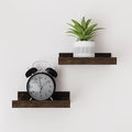 Small Floating Shelves for Wall Decor, Wall Mounted Wood Shelf for Bedroom, Living Room, Bathroom, Kitchen, Nursery, Display Ledge Shelf with Lip Set of 2-8 Inches, Walnut