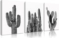 Black And White Cactus Canvas Wall Art Saguaro Cactus Pictures Wall Decor Black And White Artwork Painting Mexican Succulent Poster Prints for Living Room Bedroom Decor 12x16x3 Inch Ready to Hang