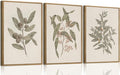 Wodkwq 3 Piece Vintage Botanical Canvas Wall Art Framed, Neutral Farmhouse Country Wall Decor,Sage Green Leaves Plants,Floral Painting For Living Room,Bedroom,Office,Kitchen 16x24in