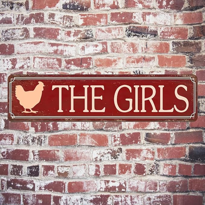 Funny Metal Tin Sign Vintage The Girls Sign For Home, Street, Shop, Garage, Bar, Farm, Garden Wall Decor 16x4 Inches