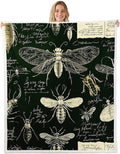 Biology Chalk Blackboard Blanket Throw Twin 60"x80" Insects Hand Written School Classroom Sherpa Blanket Dragonfly Beetle Moth Educational Theme Fuzzy Blanket For Kids Boys Girls Teens Bed Décor