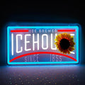 JFLLamp Beer Neon Signs for Wall Decor Crs EDGE Neon Lights for Bedroom Led Signs Suitable for Dormitory Man Cave Christmas Gift