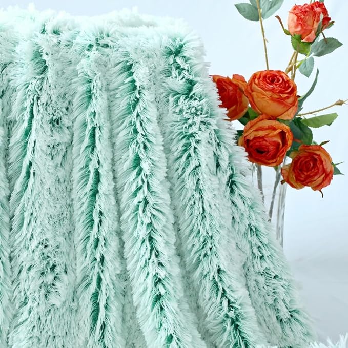 Plush Super Soft Blanket Bedding Sofa Cover Furry Fuzzy Fur Warm Throw Qulit Cozy Couch Blanket for Winter (51"x63",Green and White)