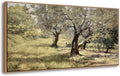 DJSYLIFE Framed Wall Art Home Decor - Vintage Artwork Olive Grove Oil Painting Canvas Prints Rustic Nature Trees Landscape Pictures Country Farmhouse Wall Decor Bedroom Living Room Decorations 20"x40"