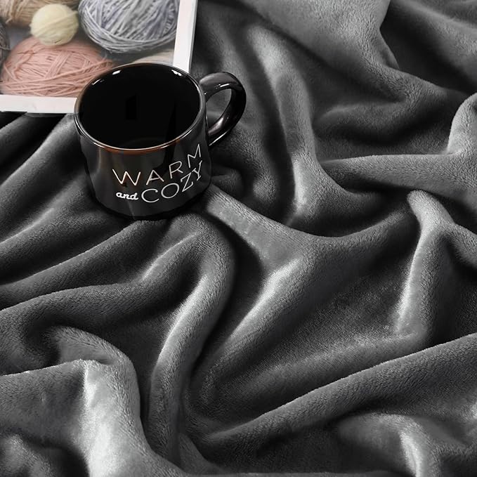 TASTHROW Grey Throw Blanket 60x80 Inches, Soft Plush Cozy Fleece Flannel Throw Blanket, Lightweight Warm Throws for Bed, Couch, Bedroom and Living Room, All Seasons