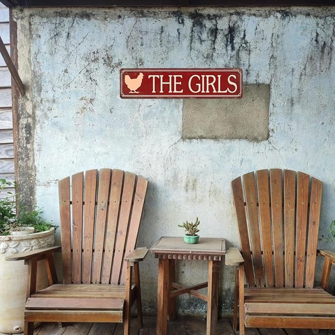 Funny Metal Tin Sign Vintage The Girls Sign For Home, Street, Shop, Garage, Bar, Farm, Garden Wall Decor 16x4 Inches