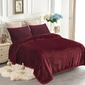 JYK Fleece Plush Blanket - 3.5 LB, 1 Ply Lightweight Korean Style Mink Blanket, Queen 79" x 91" - Super Soft, Warm & Cozy, Microfiber Bed Blanket for All Seasons, Burgundy