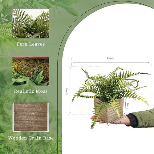 2 Pack Medium Fake Fern Plants with 4 Inch Wooden Planters, 9" Inch Tall Indoor Artificial Fern Plants for Shelves, Desktop, Bedroom, Office Decor