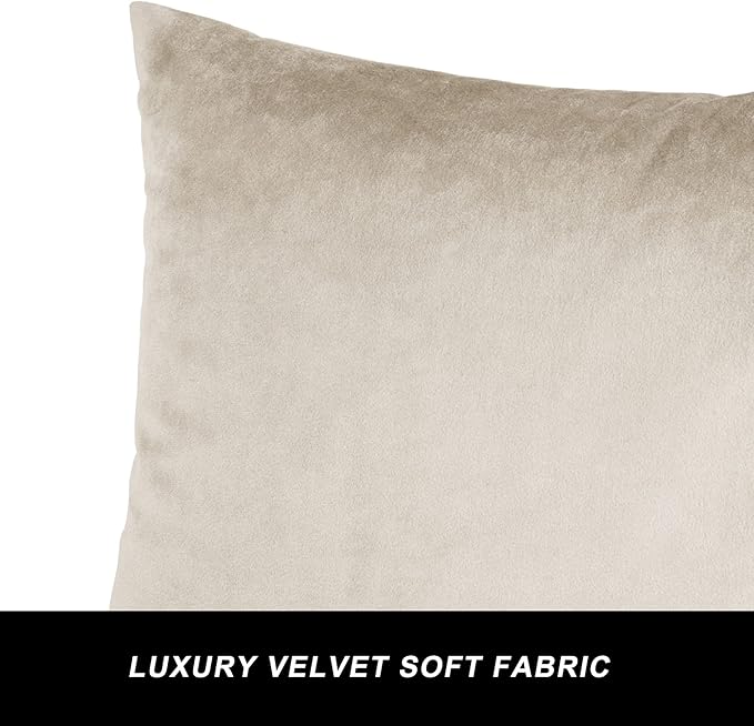GIGIZAZA Velvet Champagne Throw Pillow Covers Decorative Cushion Covers Pillow Cases Sham for Sofa Couch (18x18inch(45x45cm)-4pcs, Champagne)