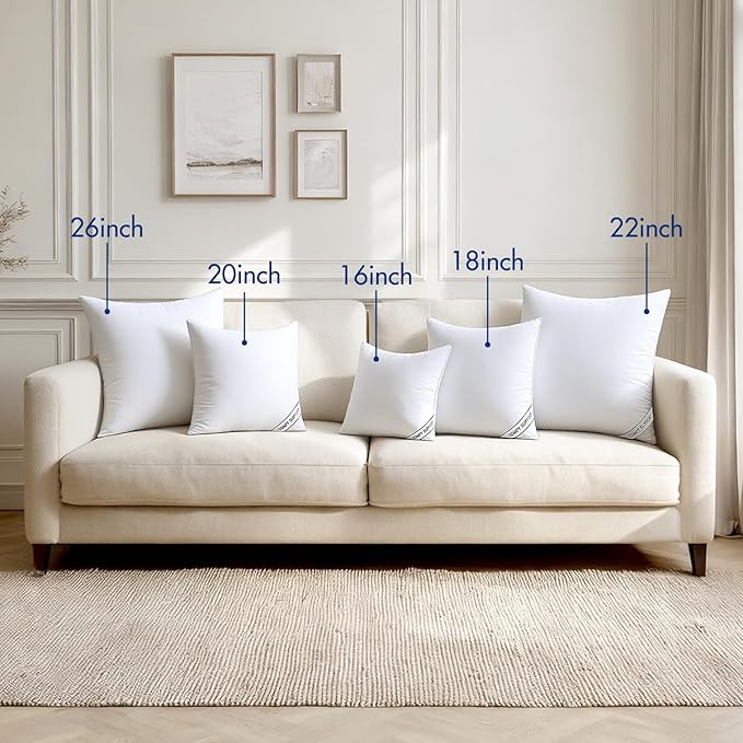 MIULEE 20x20 Inch Pillows Inserts, Pack of 2 Down Alternative Virgin Filling Comfy Support Throw Pillows for Sofa Couch Bed