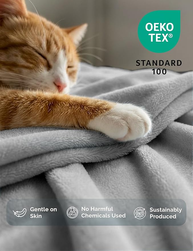 Casa Platino Fleece Blanket Queen Size – 300 GSM Light Gray Fleece Throw for Bed or Couch – Soft Cozy Warm Holiday Bed Blanket for Winter, Fuzzy Plush Elegant Gifts for Men & Women - 90x90 Inch