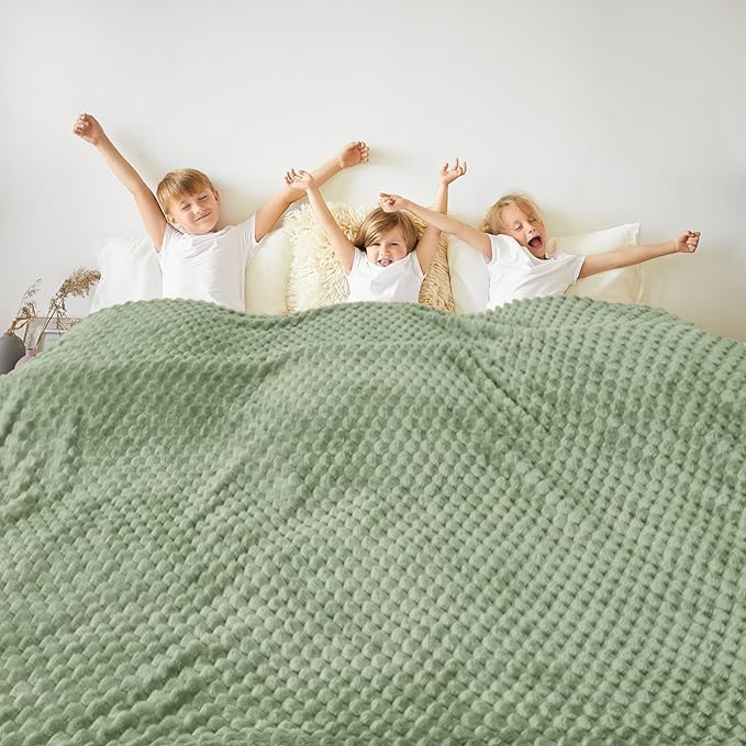 Vessia Flannel Fleece Queen Size Bed Blanket(90x90 inch), 3D Jacquard Sage Green Fuzzy and Warm Blanket for Adults, 300GSM Super Soft Touch Cozy Lightweight Home Decor for All-Season