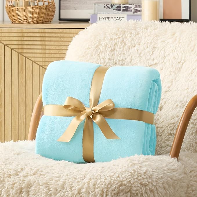 Hansleep Fleece Robin Egg Blue Twin Blanket, Super Soft Flannel Fuzzy Plush Cozy Blanket for All Seasons, Robin Egg Blue, Twin 60x80 Inches