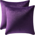 DEZENE Throw Pillow Covers 20x20 Purple: Pack of 2 Cozy Soft Velvet Square Modern Luxury Decorative Throw Pillow Cases for Sofa Couch Living Room Bed Home Decor