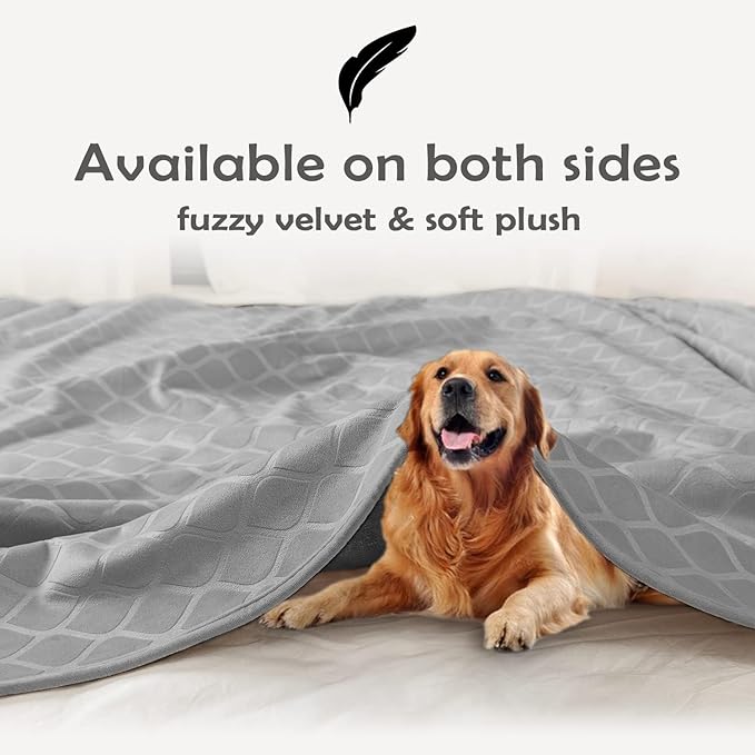 fuguitex Waterproof Dog Blanket Bed Cover Dog Crystal Velvet Moroccan Fuzzy Cozy Plush Pet Blanket Throw Blanket for Couch Sofa(40 * 60 inch, Light Grey+Grey)