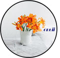 Round Mirror, Black Round Mirror 18 inch, Circle Wall Mounted Mirrors for Bathroom, Living Room, Bedroom, Vanity, Entryway, Hallway.