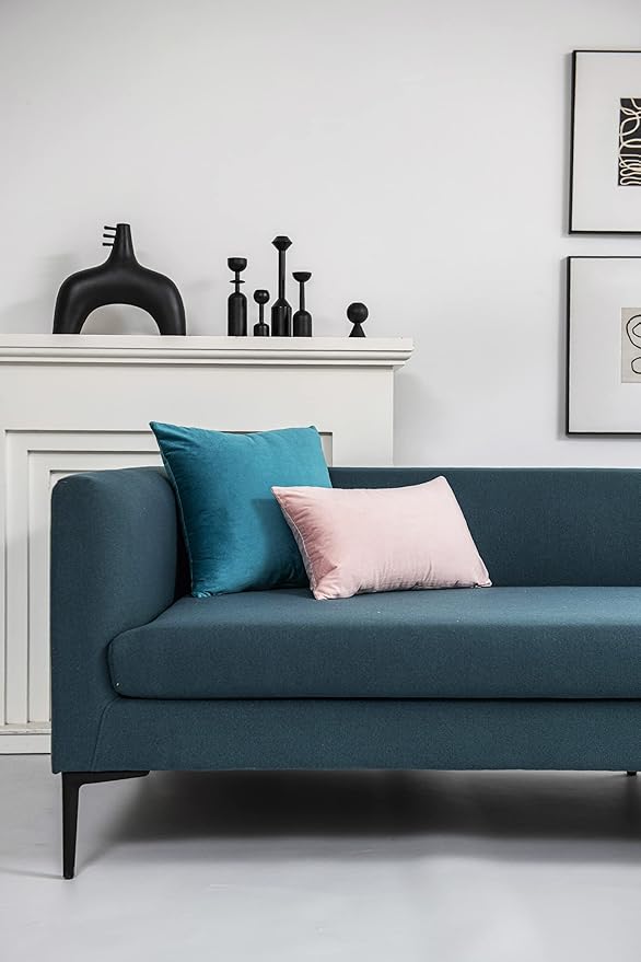 DEZENE Throw Pillow Covers 20x20 Turquoise: Pack of 2 Cozy Soft Velvet Square Modern Luxury Decorative Throw Pillow Cases for Sofa Couch Living Room Bed Home Decor