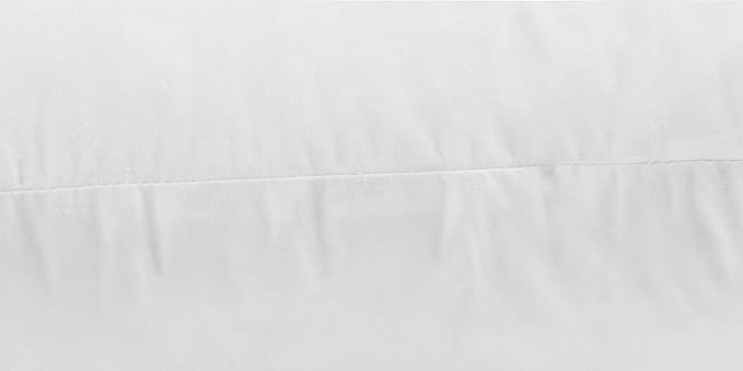 JA COMFORTS 18×18 Premium Goose Down Feather Throw Pillow Inserts(Set of 2)-5% Down Filling,High Filling Weight,250 TC Cotton Cover, Square, White